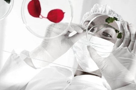 OHAUS Ingenious Portfolio